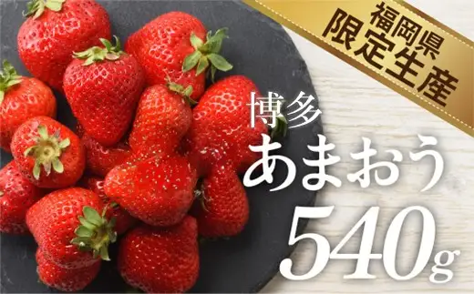 人気１位獲得謝礼品★限定品★博多あまおう約５４０g（先行受付／２０２７年２月以降発送）.ZH205【あまおう】