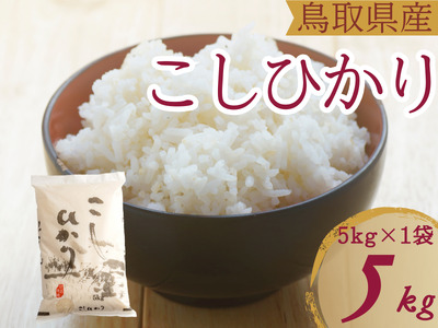 米 こしひかり5kg 鳥取県産 こめ 精米 コシヒカリ 5キロ 令和7年産 送料無料 1052