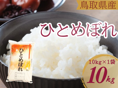米 ひとめぼれ 10kg 鳥取県産 こめ 精米 10キロ 令和7年産 送料無料 1054