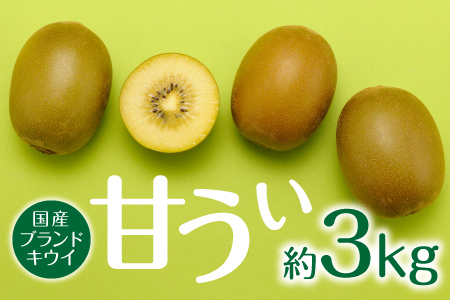 AC197.九州・福岡フルーツ王国より直送.人気の新ブランドキウイフルーツ（甘うぃ）約3kg／2026年11月配送【甘うぃ】