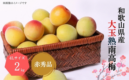 【梅干・梅酒用】大玉4Lサイズ約2kg 熟南高 生梅 赤秀品【2027年6月上旬～7月上旬ごろ発送予定】【ART01】【G218-art023B】
