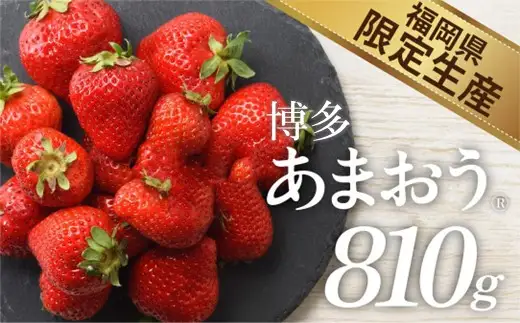 ZI368.人気１位獲得謝礼品★限定品★博多あまおう約８１０g（先行受付．２０２７年２月以降発送）【あまおう】