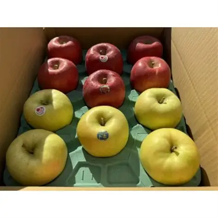 早生ふじ＆トキ　贈答用約5kg　りんご中生種、一押し詰合せ!　10月上旬より発送_果物・フルーツ りんご  リンゴ 林檎_【配送不可地域：離島】【1338678】