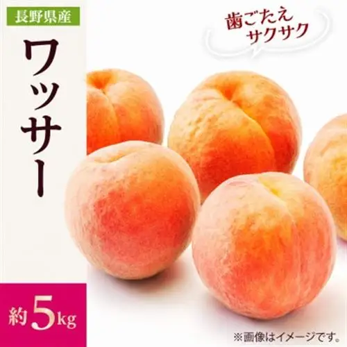 【2027年発送】フルーツ王国　長野県信州直送　ワッサー 約5kg【配送不可地域：離島】【1530503】