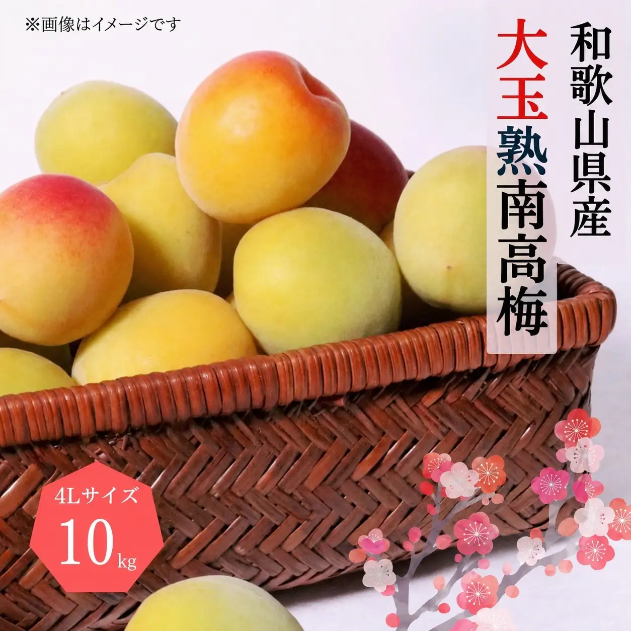 【梅干・梅酒用】熟南高梅 10kg　大玉４L秀優混合 ＜2027年6月上旬～7月7日発送予定＞【ART02】/ 梅 梅干し ウメ 青梅 生梅 梅シロップ うめ 梅酒 和歌山 南高梅 フルーツ 果物 くだもの 食品 人気 おすすめ 送料無料【art022C】