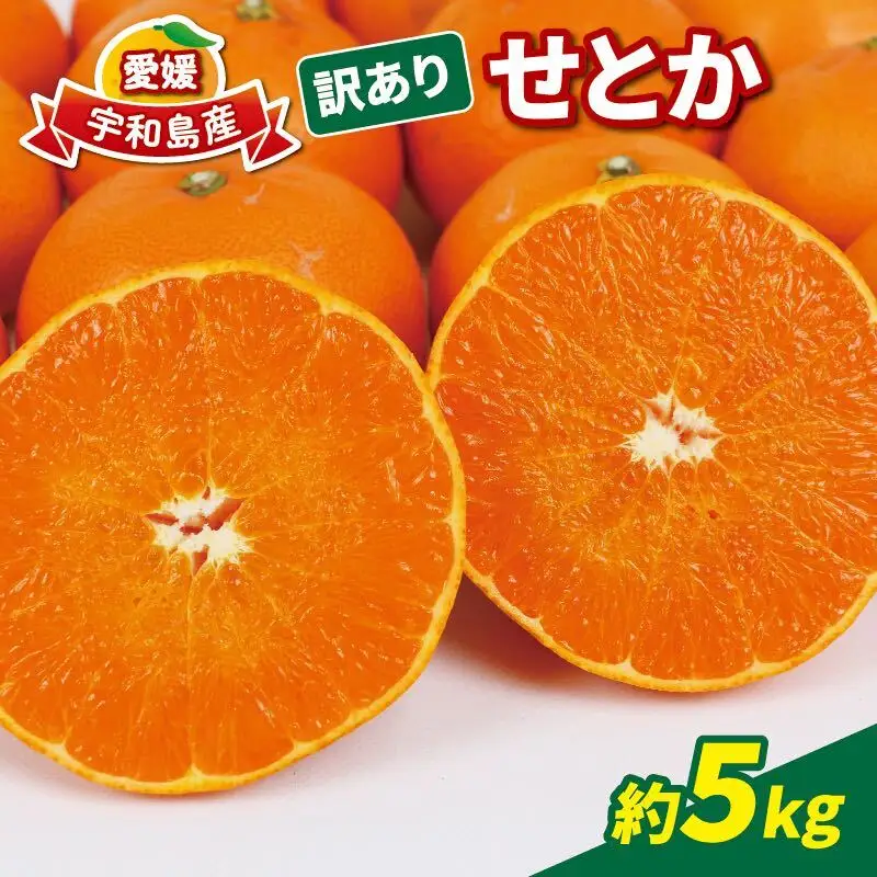 訳あり せとか 5kg マル南フルーツ せとか B012-106023