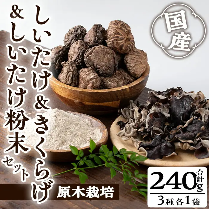 きのこ 国産 しいたけ 粉末 きくらげ セット(合計240g・3種)【九南サービス(タマチャンショップ)】A503-v01