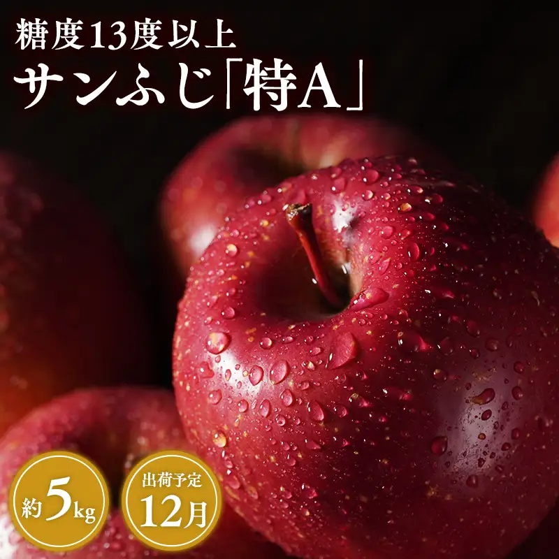 りんご サンふじ 約5kg りんご