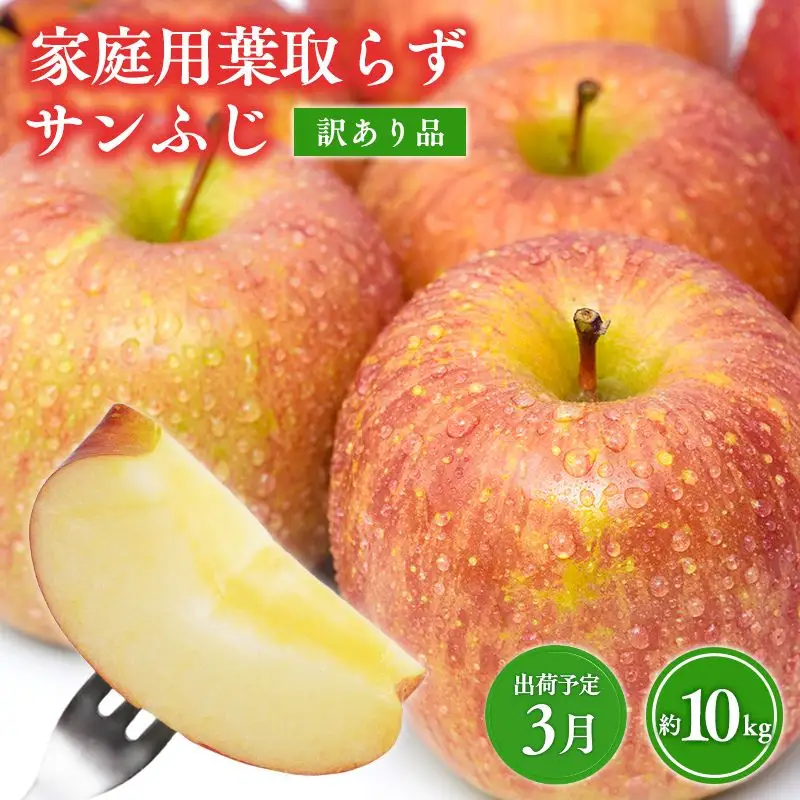 3月 葉取らずサンふじ 約10kg 訳あり 家庭用 [hi-0009-009]