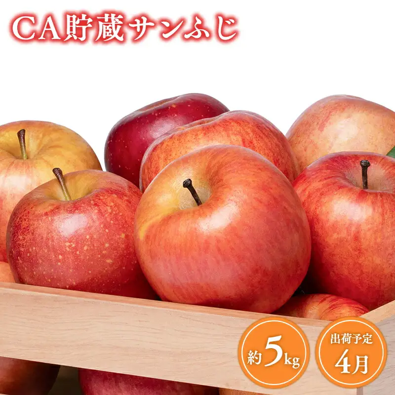 りんご 葉とらずサンふじ 訳あり 約5kg CA貯蔵 りんご
