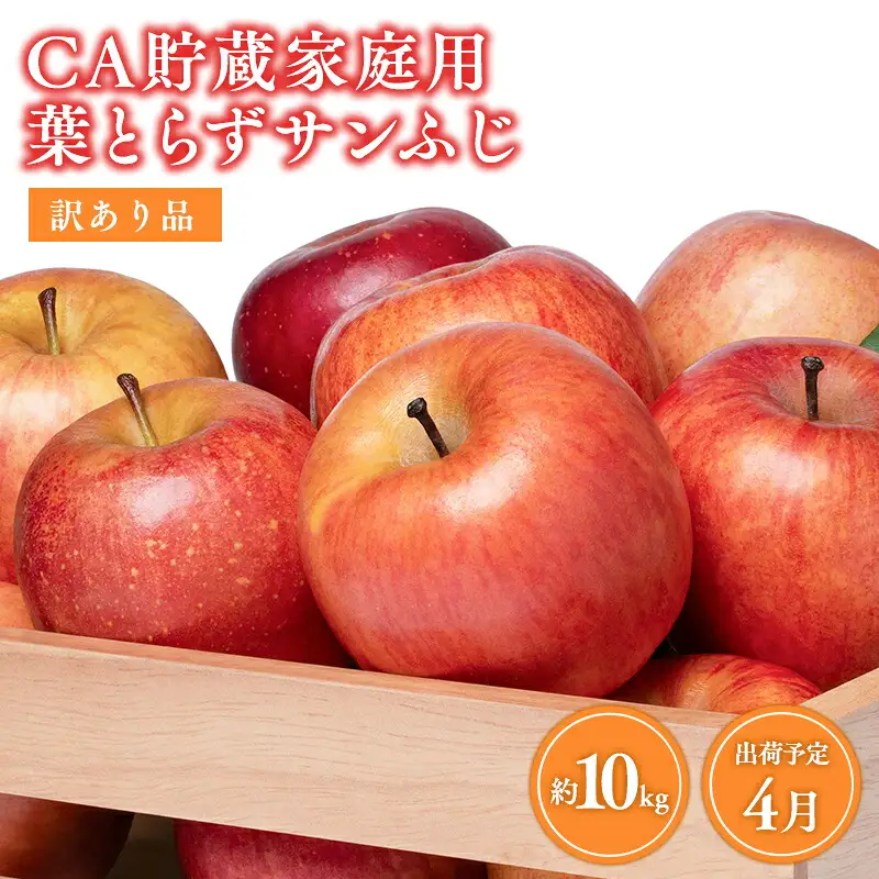 4月発送 訳ありCA貯蔵 葉とらずサンふじ 約10kg  青森県産りんご[hi-0009-012]