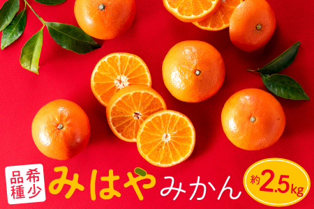 AA088.【希少品種】みはやみかん／約2.5キロ(2026年12月上旬～2027年1月末発送予定)