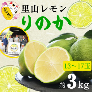 M569【里山レモンの会】宮若市特産品 レモン 約3kg【りのか】
