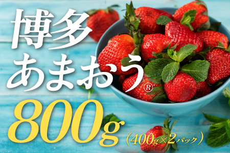 AB144.★限定品★あまおう（４００ｇ×２パック）／２０２７年１月下旬～４月発送