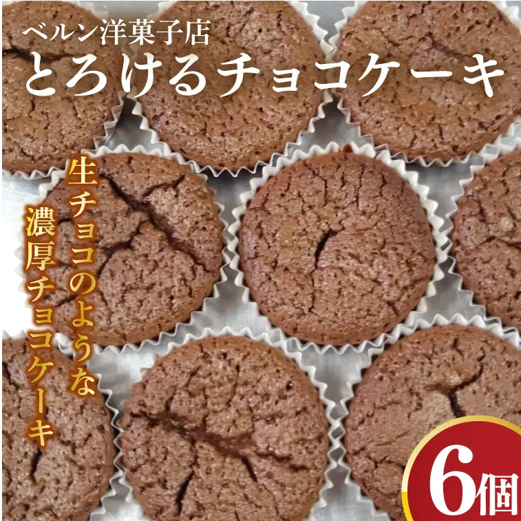 とろけるチョコケーキ【チョコレート 生チョコ 濃厚 おやつ プレゼント】(CK203)