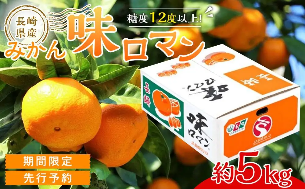 【糖度12度以上！】長崎県産 みかん 味ロマン 約5kg ＜期間限定／先行予約＞【2026年11月中旬以降順次発送】｜みかん 柑橘