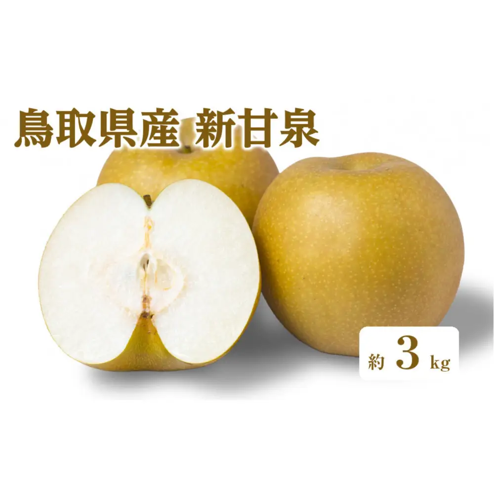 ＜数量限定＞＜2026年8月下旬以降順次発送予定＞鳥取県産新甘泉(約3kg) 【鳥取県 境港市】