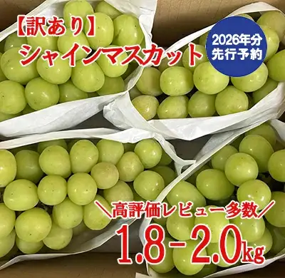 【2026年発送分 先行予約】＼高評価多数／【訳あり】シャインマスカット  1.8kg～2kg (3～6房) 【8月下旬以降発送予定】 訳アリ 訳あり品 シャイン マスカット ぶどう ブドウ 葡萄 徳用 家庭用 ご家庭用 旬 新鮮 約2kg 約1.8kg 約1.9kg くだもの 果物 フルーツ 山梨 やまなし 富士川町