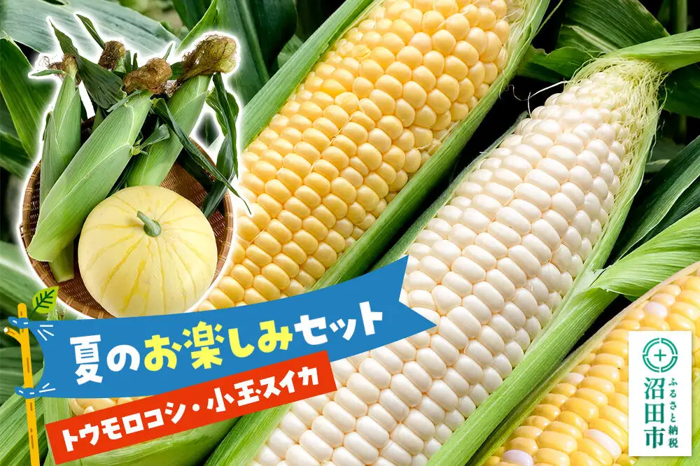 《7月下旬～9月上旬発送》夏のお楽しみセット とうもろこし3本～4本と小玉スイカ1個のセット