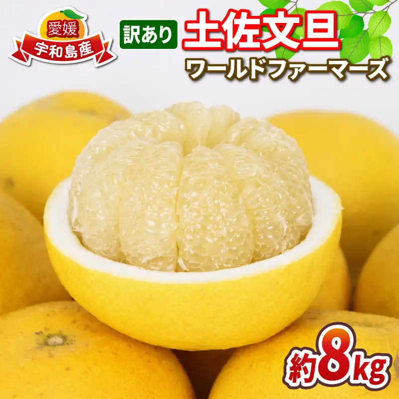 土佐文旦 訳あり 8kg ワールドファーマーズ 文旦 B010-024024