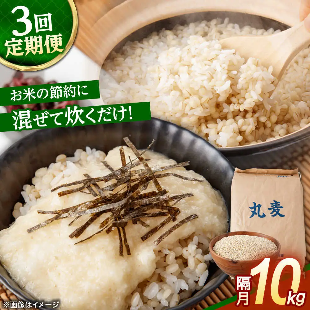 もち麦よりも『ぷりっ』とした弾力 【隔月3回定期便】長崎県産 丸麦 10kg / 麦 むぎ 雑穀 雑穀米 麦ごはん 麦飯 麦みそ 食物繊維 長崎県産 米 こめ コメ ※ / 諫早市 / 有限会社伊東精麦 [AHBU006]