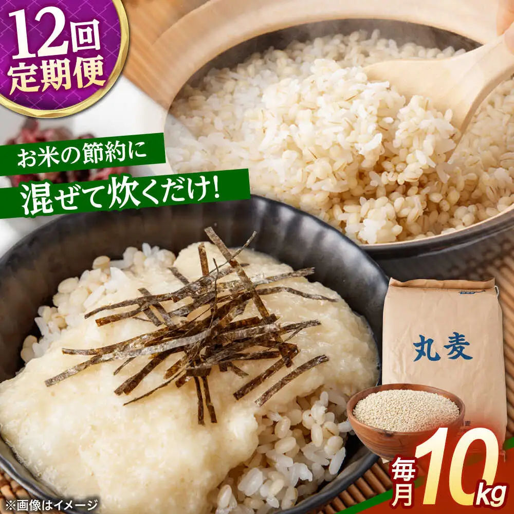 もち麦よりも『ぷりっ』とした弾力 【12回定期便】長崎県産 丸麦 10kg / 麦 むぎ 雑穀 雑穀米 麦ごはん 麦飯 麦みそ 食物繊維 長崎県産 米 こめ コメ ※ / 諫早市 / 有限会社伊東精麦 [AHBU008]