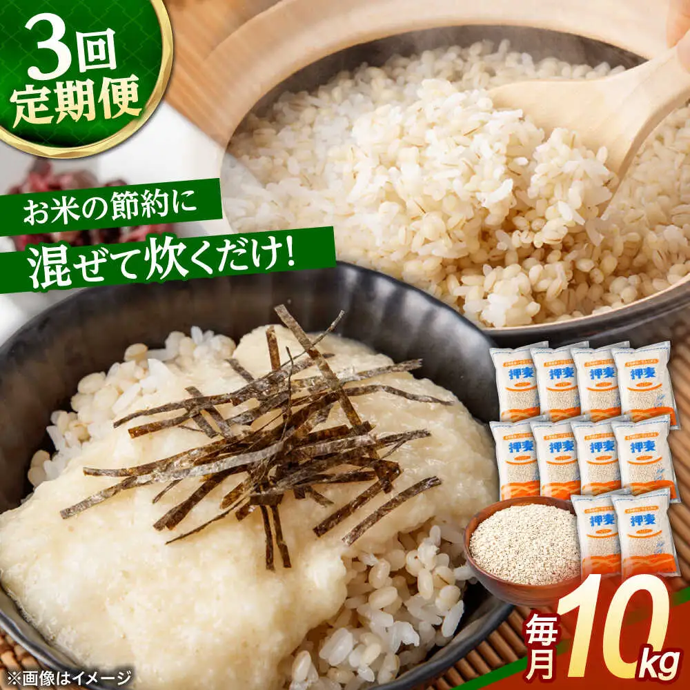 【3回定期便】押麦「長崎御島」 1kg×10袋 計10kg / 麦 むぎ 押麦 はだか麦 麦味噌 雑穀 雑穀米 食物繊維 小分け 長崎県産 米 こめ コメ ※ / 諫早市 / 有限会社伊東精麦 [AHBU010]