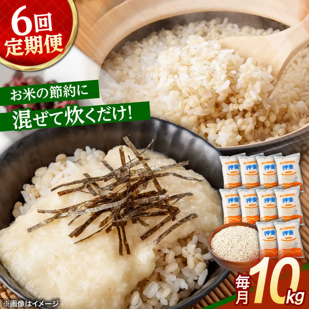 【6回定期便】押麦「長崎御島」 1kg×10袋 計10kg / 麦 むぎ 押麦 はだか麦 麦味噌 雑穀 雑穀米 食物繊維 小分け 長崎県産 米 こめ コメ ※ / 諫早市 / 有限会社伊東精麦 [AHBU011]
