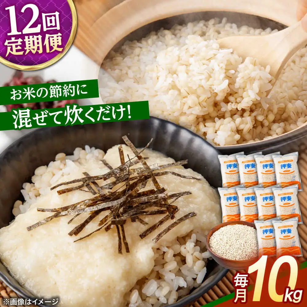 【12回定期便】押麦「長崎御島」 1kg×10袋 計10kg / 麦 むぎ 押麦 はだか麦 麦味噌 雑穀 雑穀米 食物繊維 小分け 長崎県産 米 こめ コメ ※ / 諫早市 / 有限会社伊東精麦 [AHBU012]