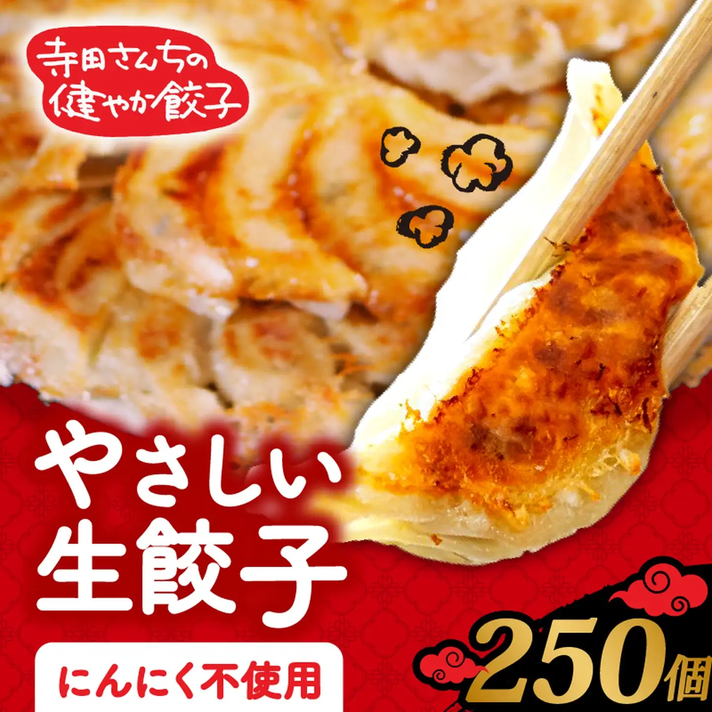 【生餃子】 にんにくなし  250個 餃子 冷凍 無添加