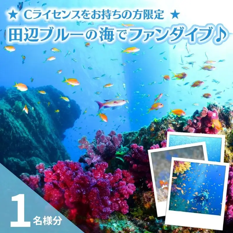 【和歌山 田辺・ファンダイブ／2ボート】大阪から2時間で叶う！田辺ブルーの海♪　1名様 ★Cライセンスお持ちの方限定★ / ダイビング スキューバダイビング ファンダイビング マリンスポーツ 体験 旅行 観光 レジャー アウトドア サンゴ 熱帯魚 水中 癒し 【tds001-1-1】