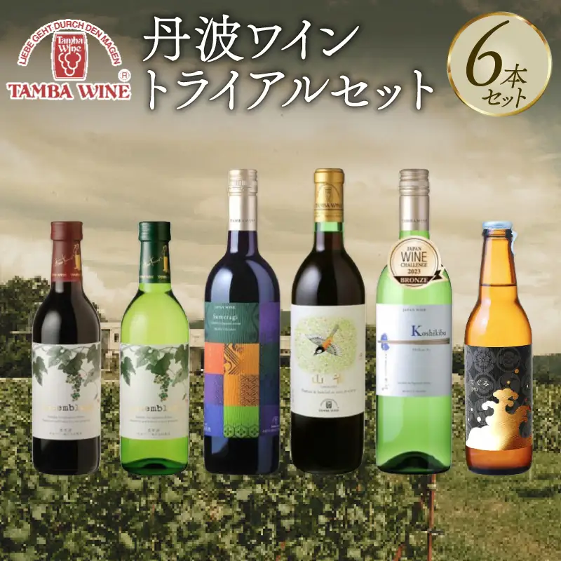 【丹波ワイン】 飲み比べ6本セット 赤ワイン 白ワイン