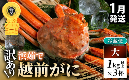 先行予約【冷蔵】越前がに 訳あり 足折れ 大 1.0kg以上（茹で前）×3杯 【2027年1月上旬以降順次発送予定】 [m21-x008_01]