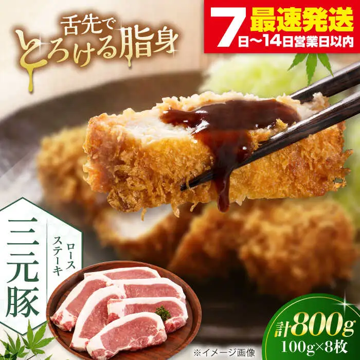 平田牧場 ロース ステーキ 800g  (100g×8枚) ※藻塩ナシ 豚肉 ロース とんかつ 生姜焼き [AJAP069]