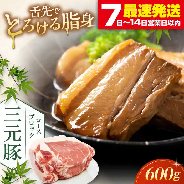 平田牧場 ロース ブロック 600g 角煮 豚肉 加工品  [AJAP070]