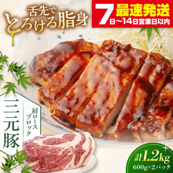 平田牧場 肩ロース ブロック 1.2kg  (600g×2P)  角煮 豚肉 加工品 [AJAP075]