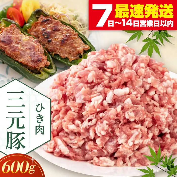 平田牧場 ひき肉 600g 豚肉 餃子 つくね [AJAP076]