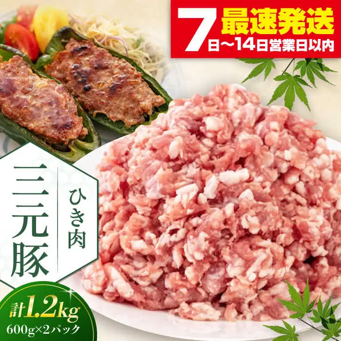 平田牧場 ひき肉 1.2kg (600g×2P) 豚肉 餃子 つくね [AJAP077]