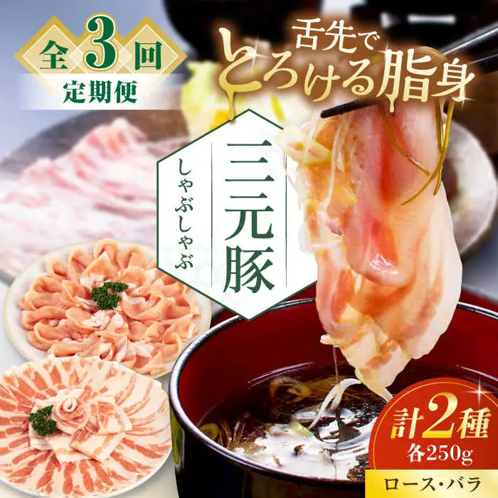 【全3回定期便】平田牧場 しゃぶしゃぶ セット 500g ( ロース バラ ) ※だし・昆布ナシ しゃぶしゃぶ 鍋 冷凍配送 [AJAP079]