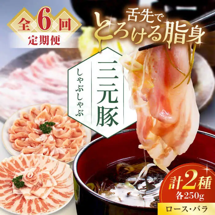 【全6回定期便】平田牧場 しゃぶしゃぶ セット 500g ( ロース バラ ) ※だし・昆布ナシ しゃぶしゃぶ 鍋 冷凍配送 [AJAP080]