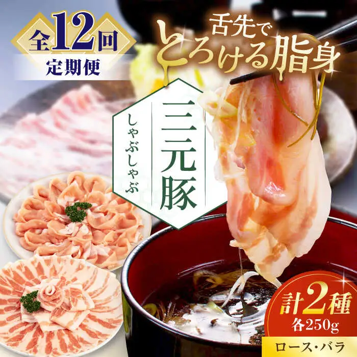 【全12回定期便】平田牧場 しゃぶしゃぶ セット 500g ( ロース バラ ) ※だし・昆布ナシ 豚肉 しゃぶしゃぶ 鍋 冷凍配送 [AJAP081]