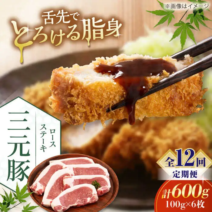 【全12回定期便】平田牧場 ロース ステーキ 600g  (100g×6枚) ※藻塩ナシ 豚肉 とんかつ 生姜焼き[AJAP089]