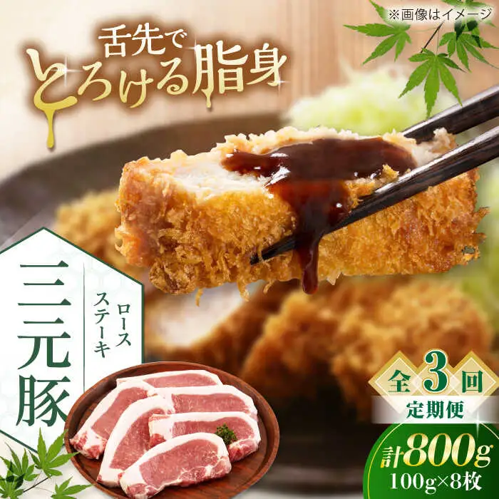 【全3回定期便】平田牧場 ロース ステーキ 800g  (100g×8枚) ※藻塩ナシ 豚肉 とんかつ 生姜焼き[AJAP091]