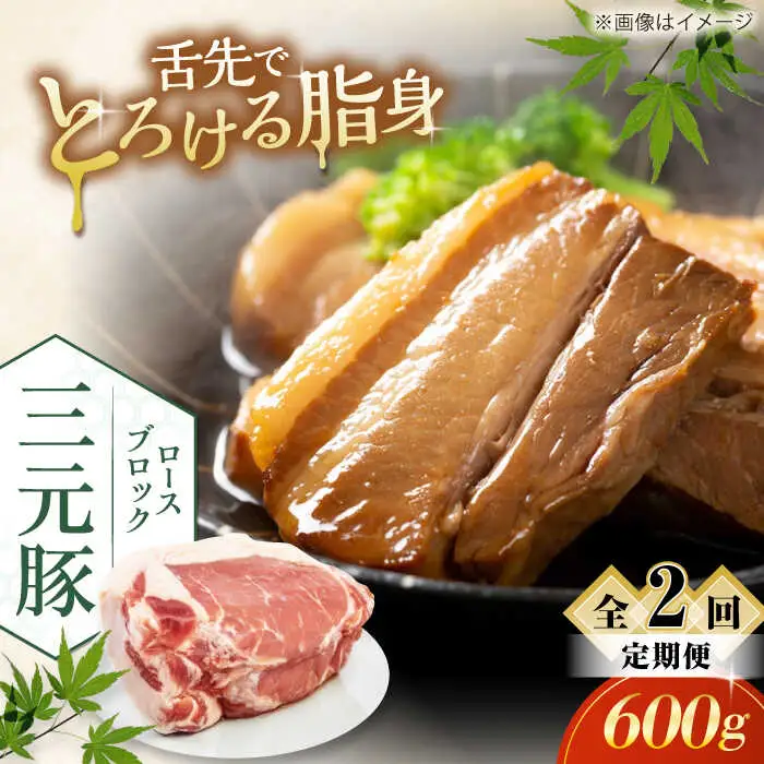 【全2回定期便】平田牧場 ロース ブロック 600g 豚肉 ローストポーク 煮豚 煮物 [AJAP094]