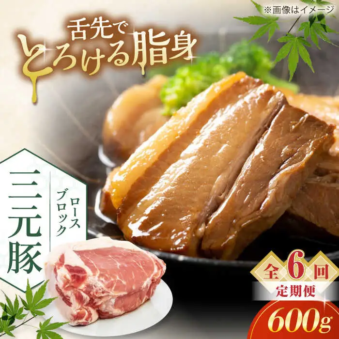 【全6回定期便】平田牧場 ロース ブロック 600g 豚肉 ローストポーク 煮豚 煮物 [AJAP096]