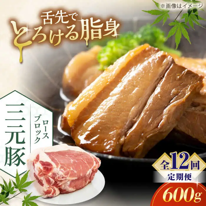 【全12回定期便】平田牧場 ロース ブロック 600g 豚肉 ローストポーク 煮豚 煮物 [AJAP097]