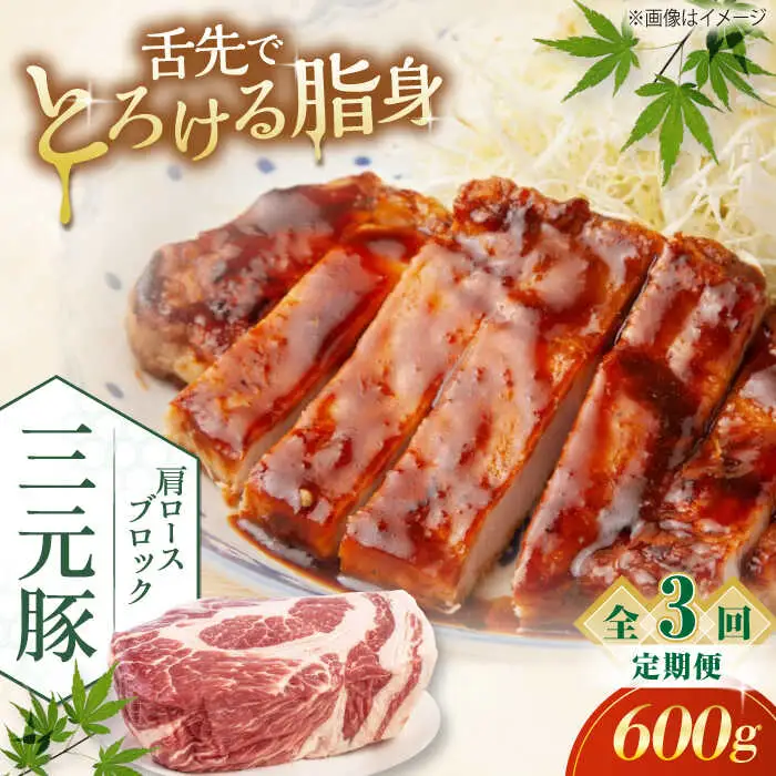 【全3回定期便】平田牧場 肩ロース ブロック 600g 豚肉 煮豚 [AJAP111]