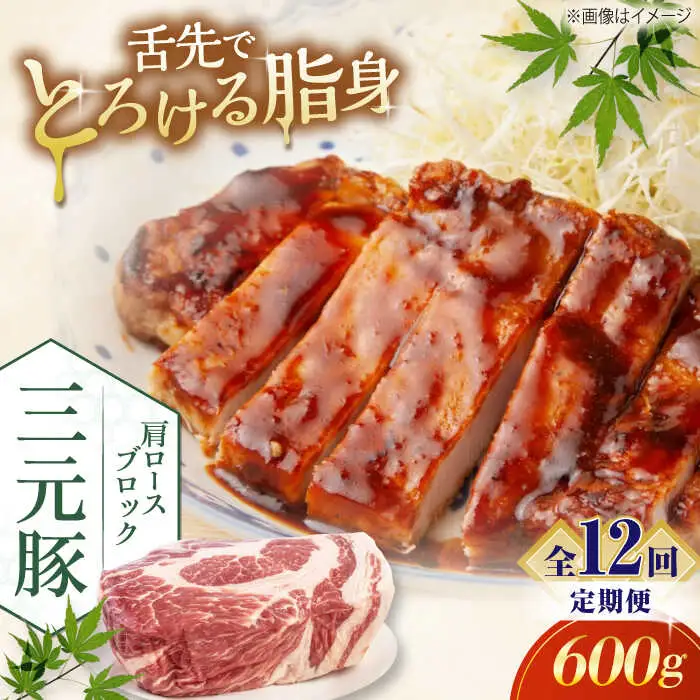 【全12回定期便】平田牧場 肩ロース ブロック 600g 豚肉 煮豚 [AJAP113]