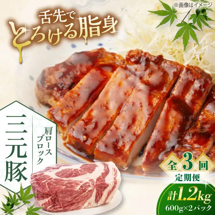 【全3回定期便】平田牧場 肩ロース ブロック 1.2kg (600g×2P) 豚肉 ローストポーク 煮豚 [AJAP115]