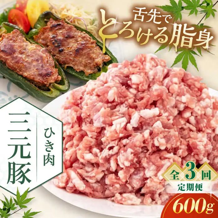 【全3回定期便】平田牧場 ひき肉 600g  豚肉 餃子 つくね [AJAP119]